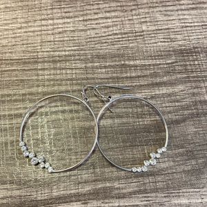 Fish hook earrings